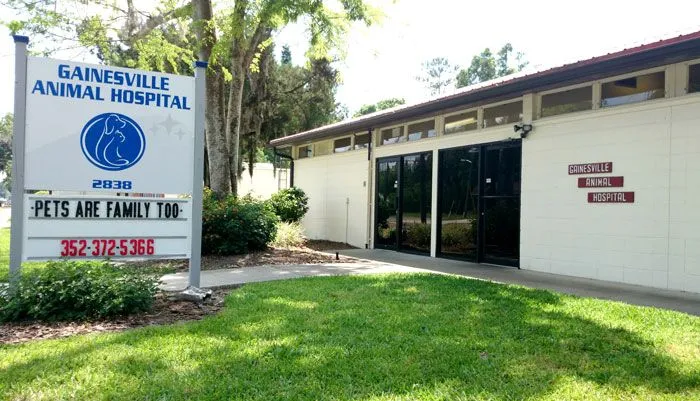 Gainesville veterinary hot sale clinic