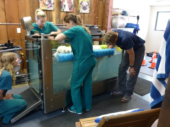 Underwater Treadmill