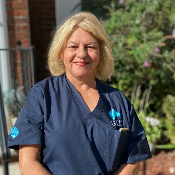 Veterinary Assistant