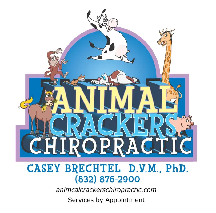 AnimalCrackers Chiropractric