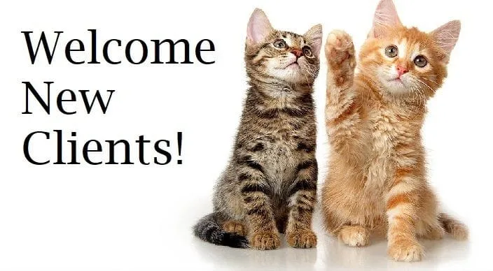 Welcome New Clients!