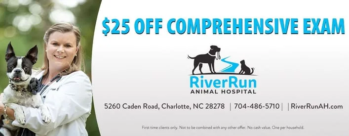 Veterinarian Charlotte Fort Mill River Run Animal Hospital