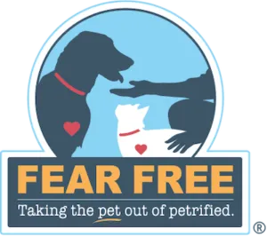 Fear Free Veterinarian Charlotte, NC