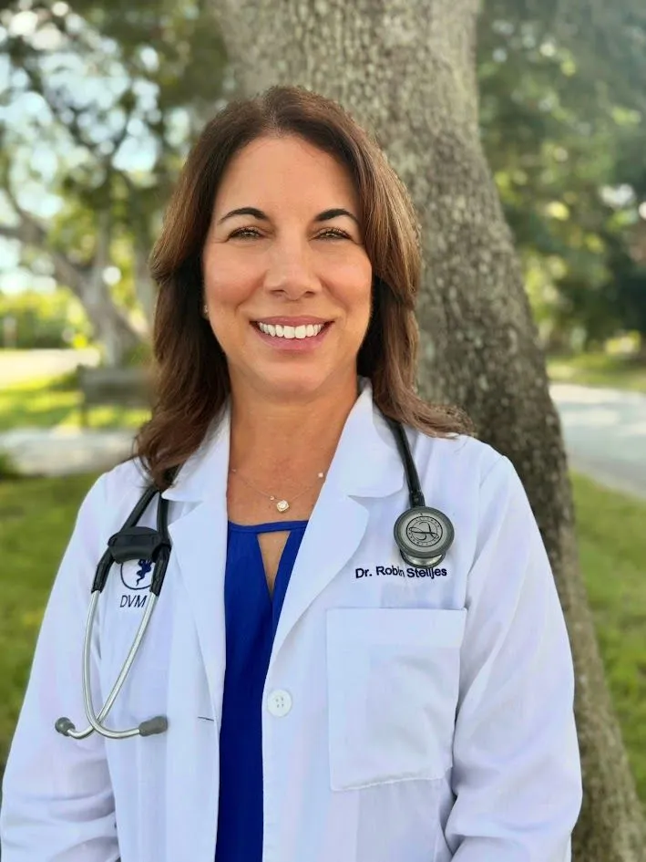 stelljes website 2025