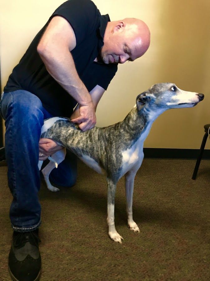 Dobson Chiropractic Center Chiropractor in DeMotte, IN