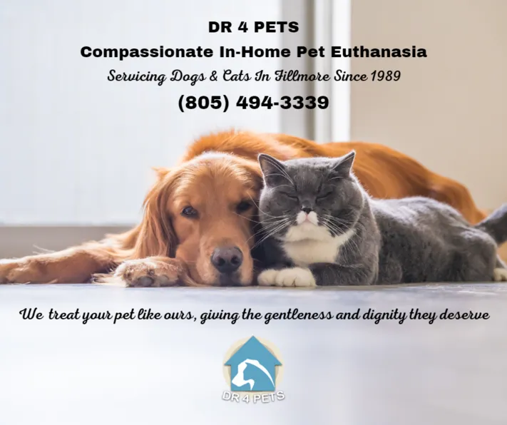 DR 4 PETS Fillmore Pet Euthanasia