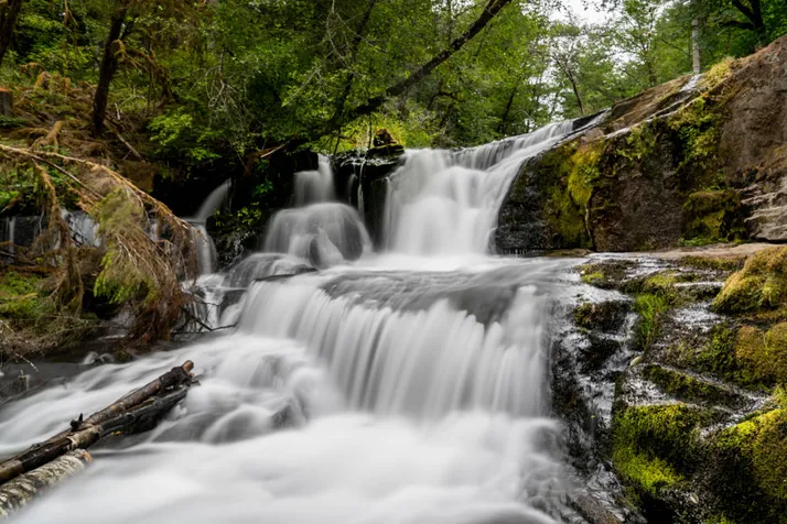 natural dam with water gushing in the forest