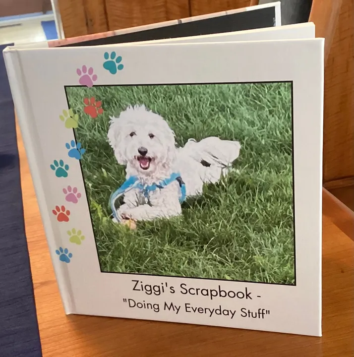 Ziggi's Scrapbook