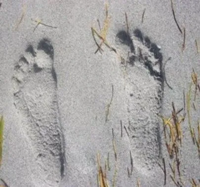 footprints.jpg