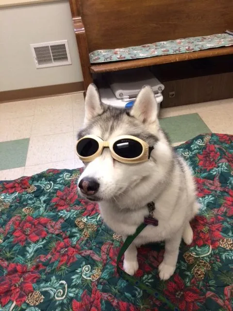 Laser Goggles