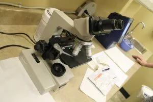 Microscope