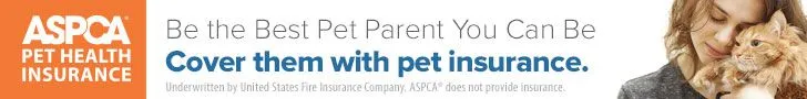 be the best pet parent