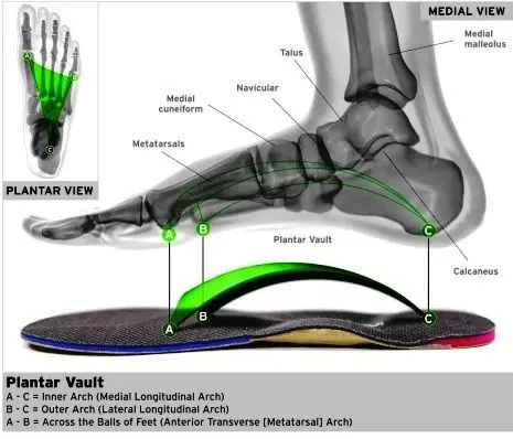 How orthotics work