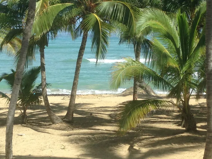 beach picture