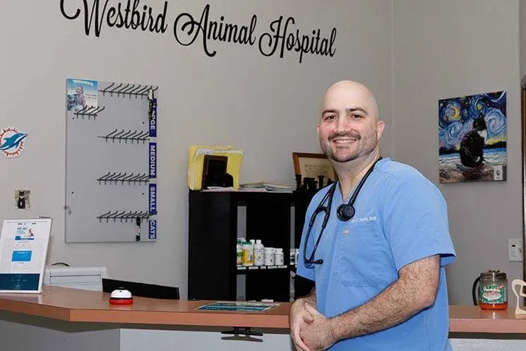 Exploring Banfield Pet Hospital Veterinarian Salary: What to Expect in Your Career