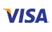 Visa Logo