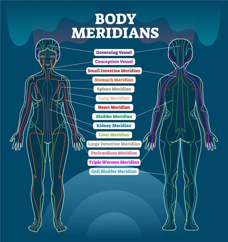 meridians