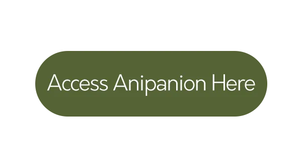 Anipanion