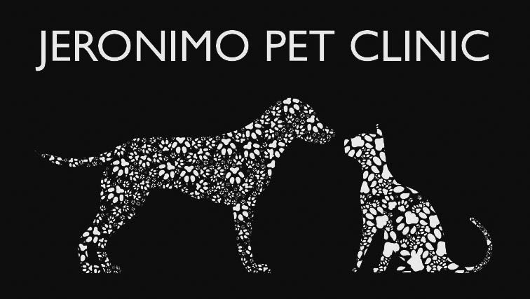 Dog Cat Veterinarian Jeronimo Pet Clinic Mission Viejo