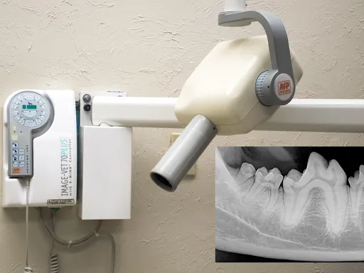 dental xray machine