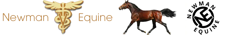 Newman Equine