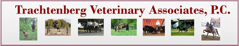 Trachtenberg Veterinary Associates, PC