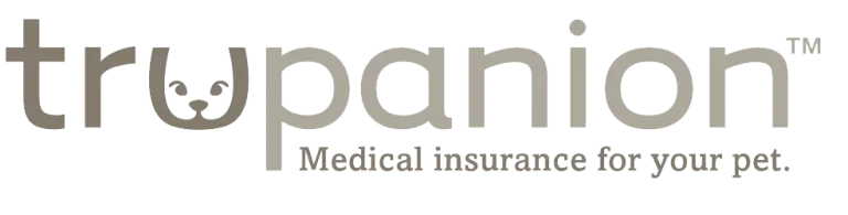 insurance logo