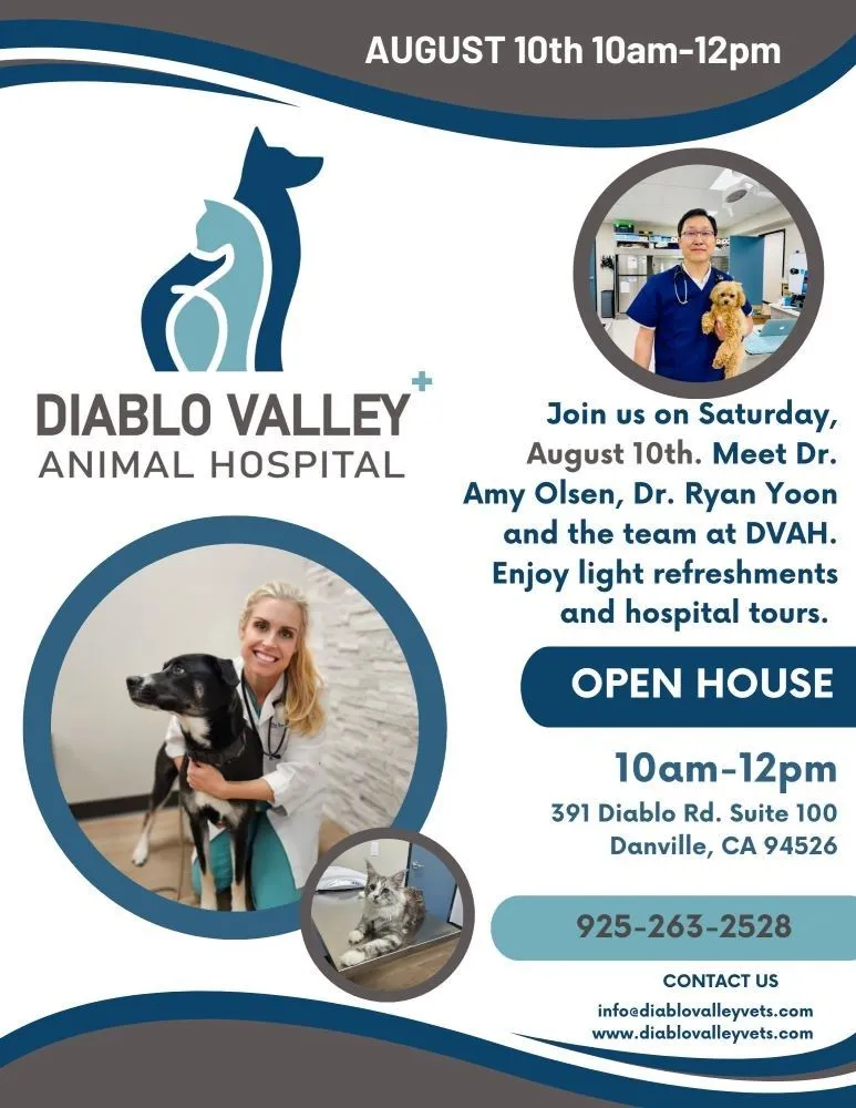 Home Diablo Valley Animal Hospital Veterinarian in Danville, CA