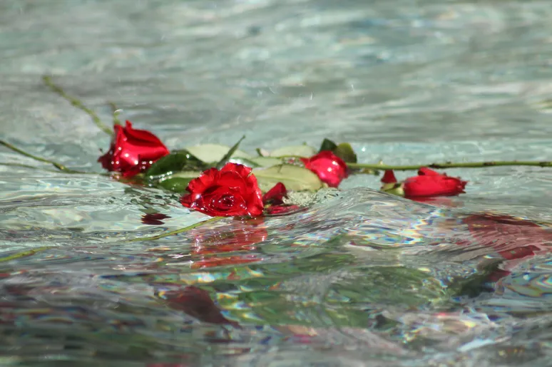 Rose Water Psychotherapy