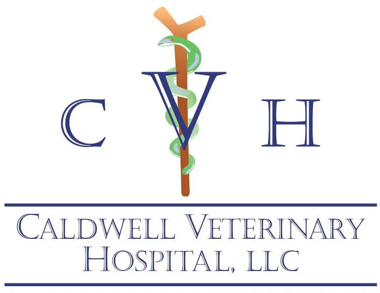 CVH Logo