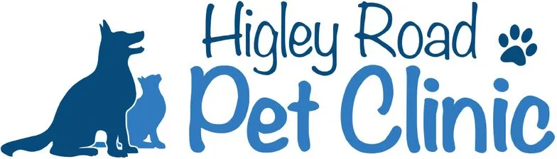 Higley Road Pet Clinic