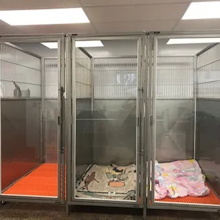 KENNEL AREA THREE