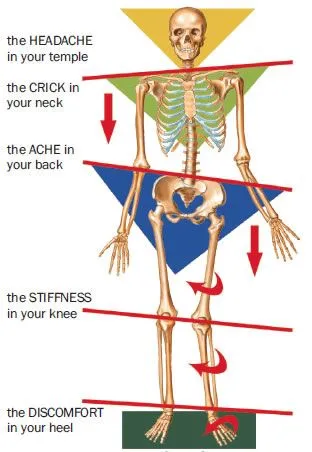 Victoria Chiropractor | Victoria chiropractic Global Assessment | TX |