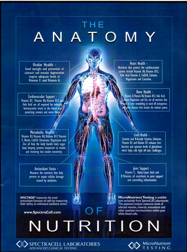 anatomy-of-nutrition1.png