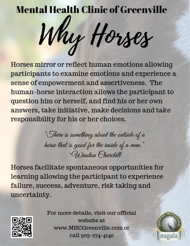 why horses