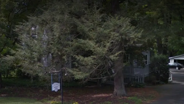 Photograph of office, Dentist, Southbury, CT