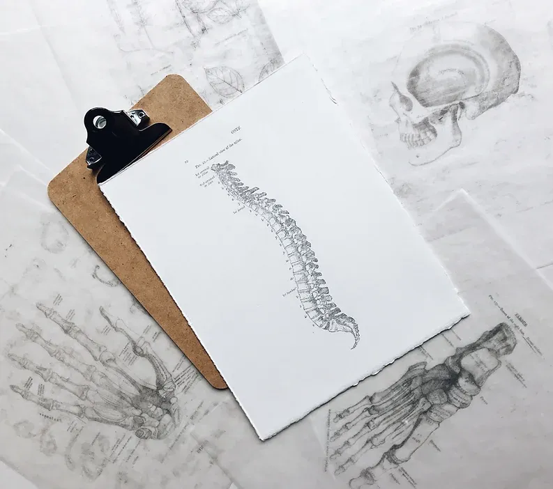 spine-image-drawing