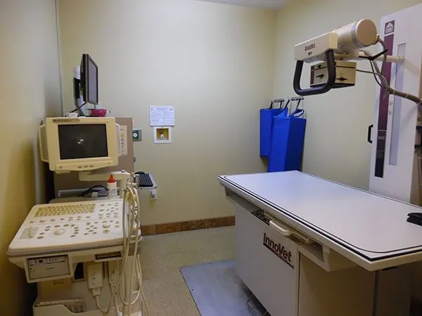 Examination room in Bay Animal Hospital