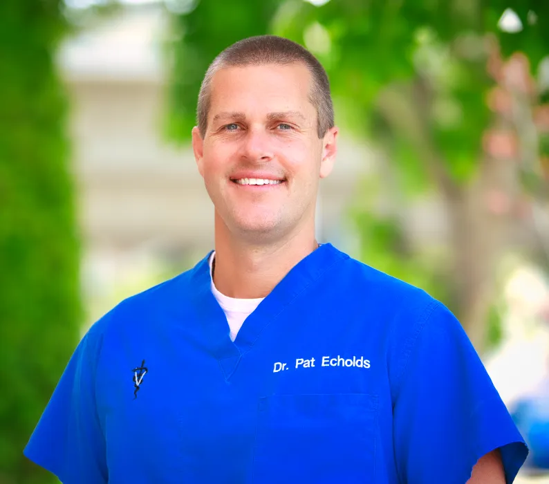 DR ECHOLDS