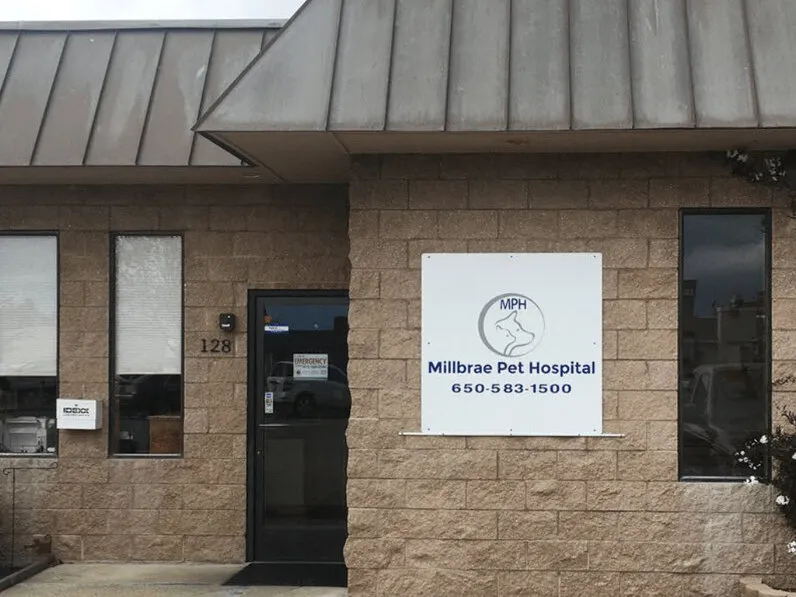 millbrea pet hospital