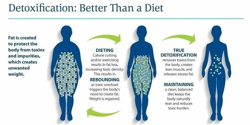 detox better than diet