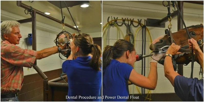 Dental Power Float