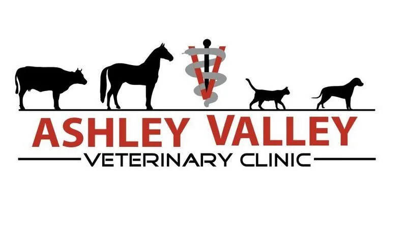 Veterinary Clinic Vernal Utah