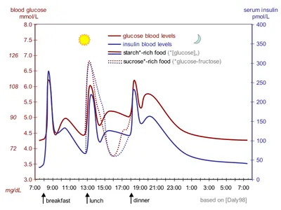 400px_Suckale08_fig3_glucose_insulin_day.png