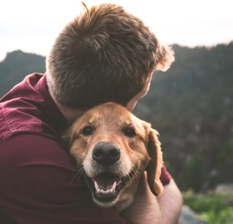 Download our Pet Portal Mobile App!