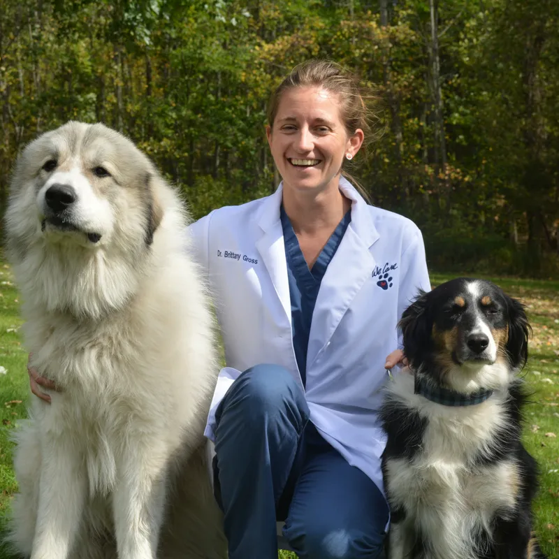 Cherry Ridge Veterinary Clinic - Veterinarian In Honesdale, PA USA ...