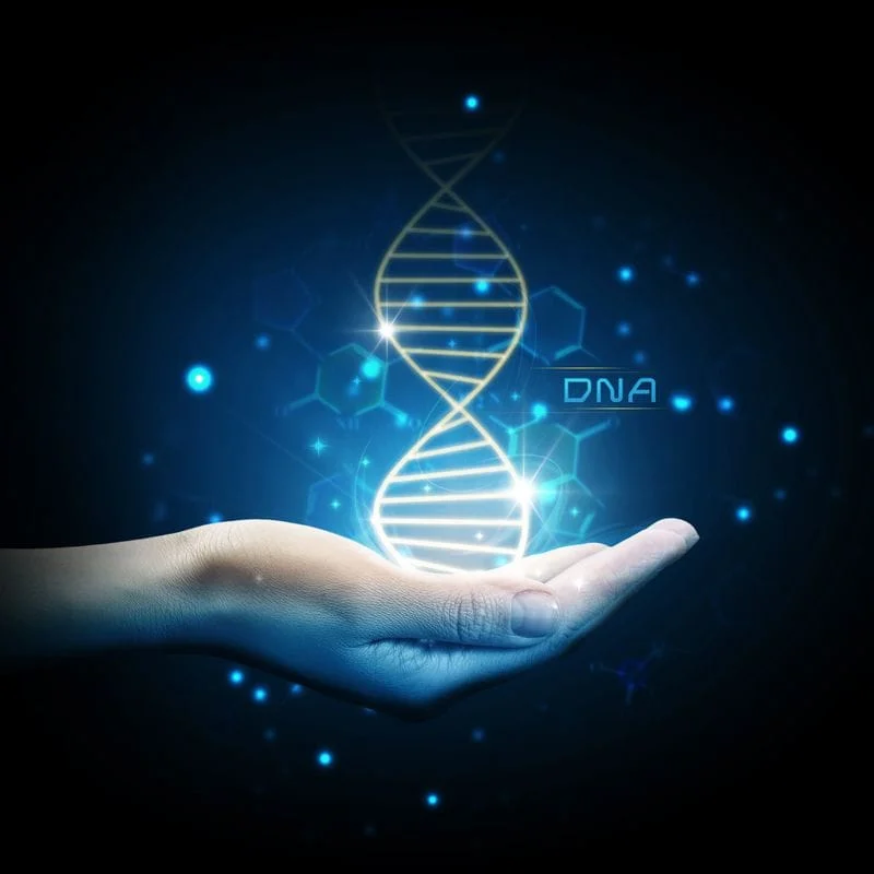 DNA support in the palm of your hand.