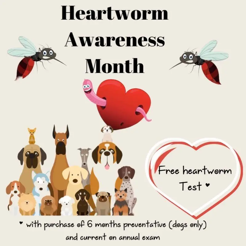 heartworm