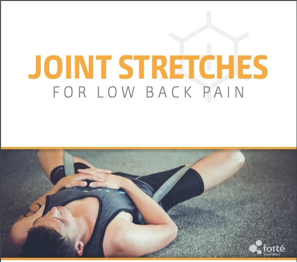 lower back stretches