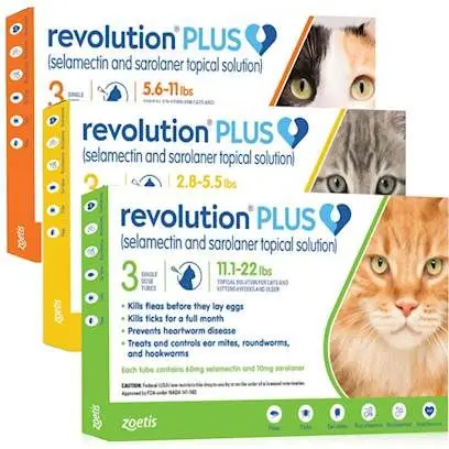 RevPlus